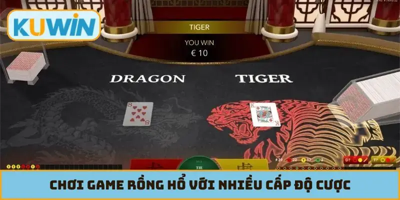 Chơi game rồng hổ với nhiều cấp độ cược
